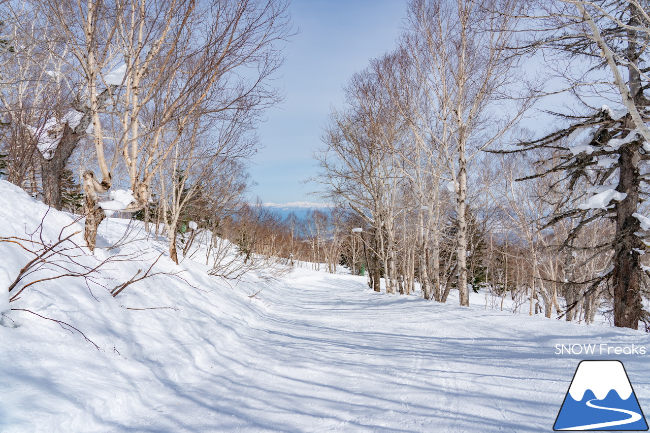 サッポロテイネ｜オリンピアゾーンは、3月31日で営業終了のはずですが…。まだまだ積雪たっぷりのゲレンデ。コンディション良好です！